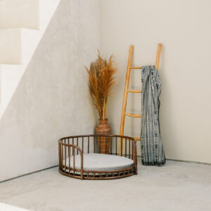 rattan solis pet bed in living room