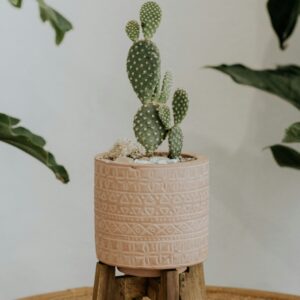 Pottery