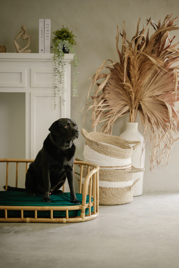 Origo handmade pet bed suitable for large dogs