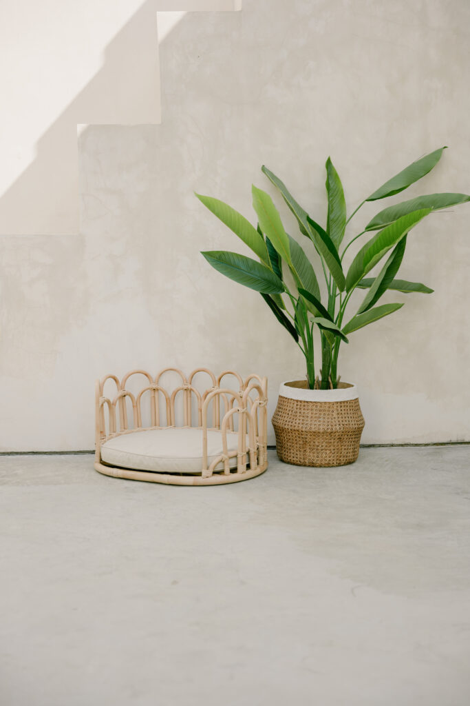 Flos handmade rattan pet bed side angle view