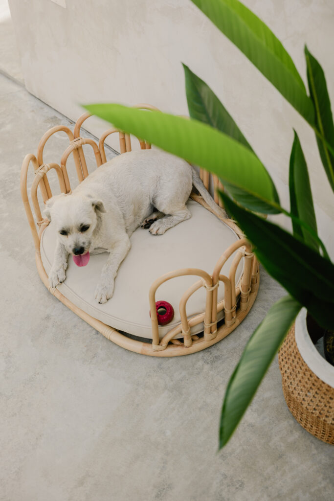 Flos handmade pet bed for large dogs