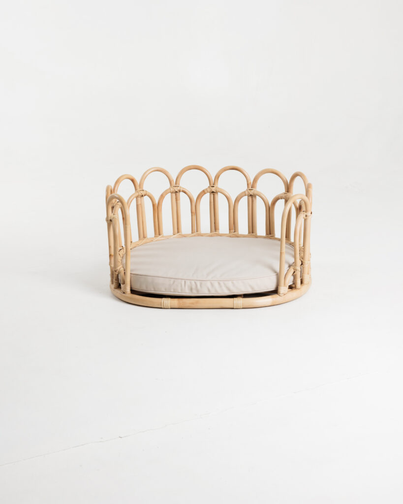 Flos rattan pet bed with light canvas cushion