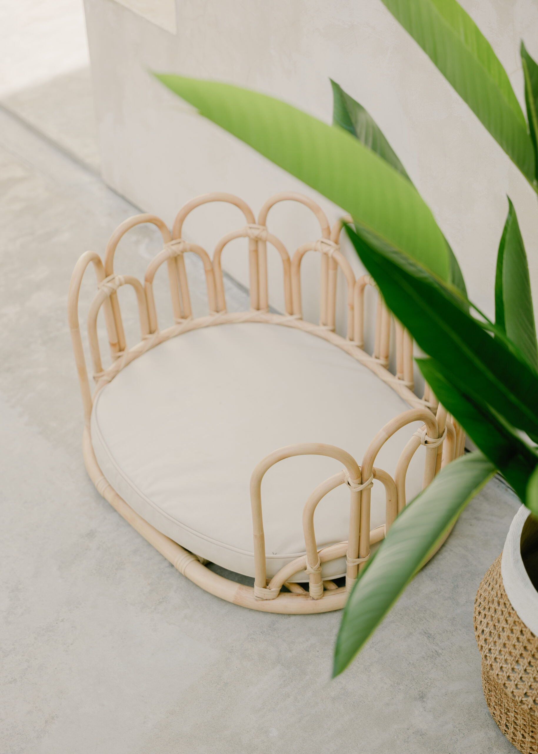 Flos pet bed made from solid rattan poles